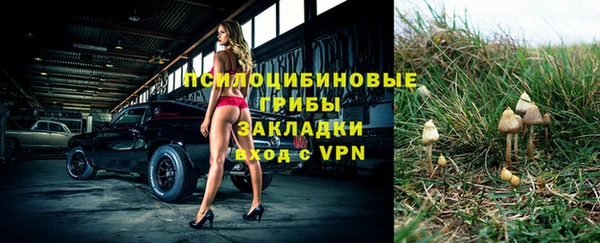 винт Абинск